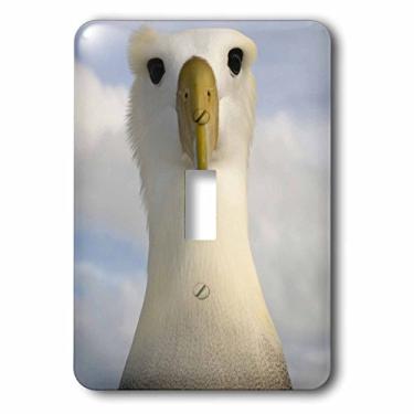 Imagem de 3dRose lsp_86304_1 Waved Albatross, Punta Cevallos, Ilhas Galápagos Sa07 Pox0908 Pete Oxford Interruptor único