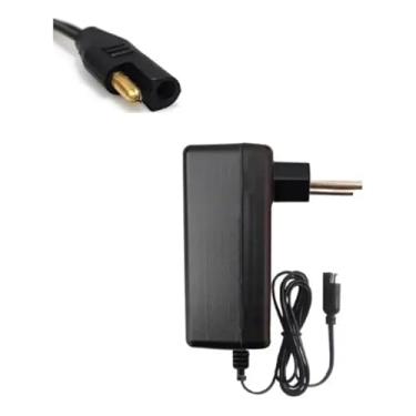 Imagem de Fonte Para Mini Moto Elétrica Brinquedo Bandeirantes 12v