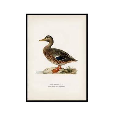 Imagem de Impressão de pato vintage rústico Pato Pato Pato Lago pôster de arte de parede retrô natureza pintura em tela imagens decoração de quarto de fazenda (SKU13,20.3x30.5 cm = (20x30cm), moldura preta para