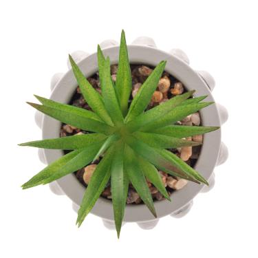 Imagem de Cachepot Bubbles Wolff 61578 7,5x10,5cm Cinza Cimento com Suculenta