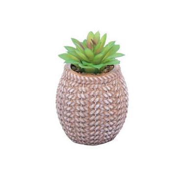 Imagem de Cachepot Lyor com Suculenta Sisal 14,5cm x 9,5cm Natural Cerâmica