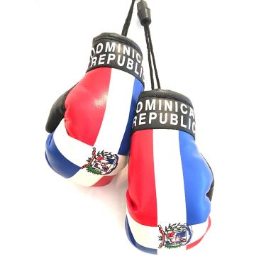 Imagem de República Dominicana, bandeira de Santo Domingo, luvas de boxe, carro, SUV, caminhões, janela de automóvel, luvas de boxe com bandeira dominicana