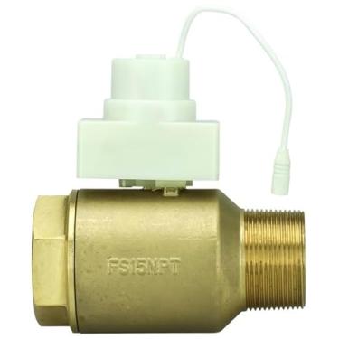 Imagem de FloodStop Válvula motorizada com detector de vazamento do aquecedor de água, 1-1/5.1 cm NPT MIP x FIP