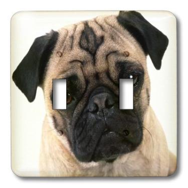 Imagem de 3dRose LLC lsp_100990_2 Caneca fofa de um pug close-up interruptor duplo