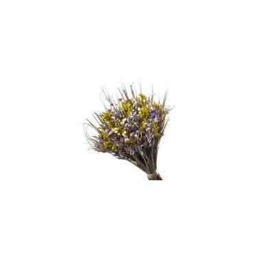 Imagem de Buque De Flor Seca Estrelinha - Variações - Pense Flores, Lilás e Verd