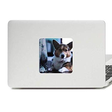 Imagem de Corgi Dog Pet Animal Lonely Imagem Decalque Vinil Paster Laptop Decoração PC