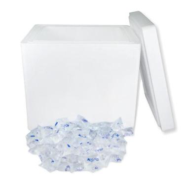 Imagem de Kit Eps 46 Litros ISOPOR Com 150 Unidades +Gelo 65g - Polar Store