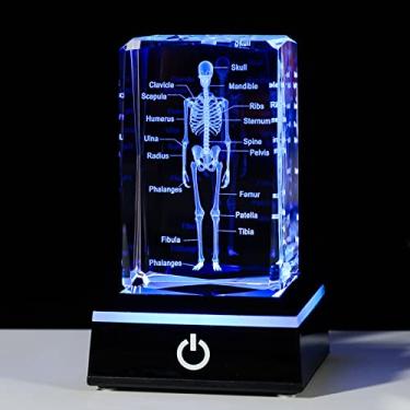 Imagem de Movdyka Esqueleto humano 3D modelo anatomia médico psicologia presentes de formatura para ele ela, estatueta de esqueleto de cristal gravado a laser peso papel biologia ciência presente com base LED