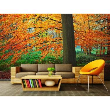 Imagem de Papel de Parede Paisagens Floresta 75 - 1,00 X 1,00