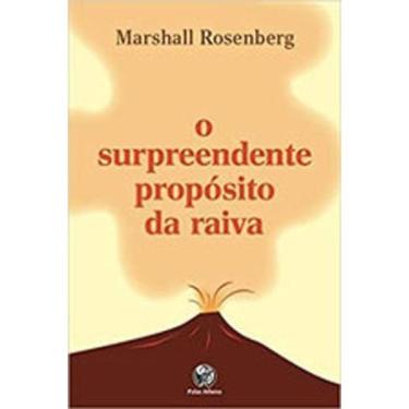 Imagem de O Surpreendente Propósito Da Raiva