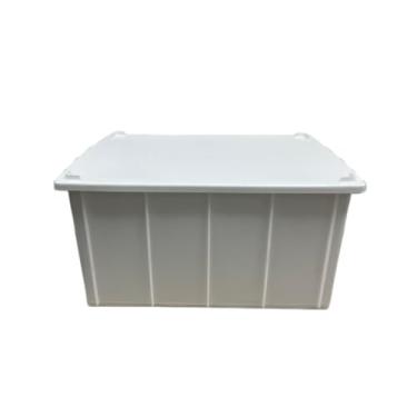 Imagem de Caixa Plástica Frigorífica Multiuso 61L para Congelamento Câmara Fria Com tampa