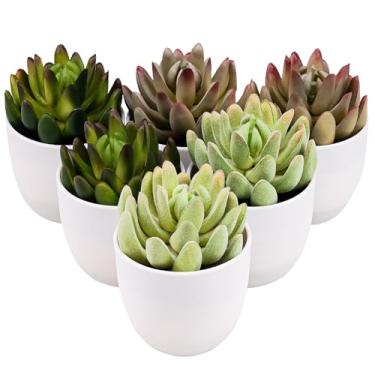 Imagem de Gresorth Conjunto de 6 suculentas artificiais para decoração de plantas em vasos sortidos, mini aloe em vasos, adorno de paisagem de lótus falso, Natal, aniversário