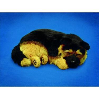 Imagem de Filhote de Cachorro Pastor Alemão, Perfect Petzzz