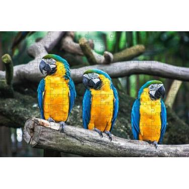 Imagem de Quebra-Cabeça Pássaros Cognitivo Reabilitação Idosos Aves - Rei Do Pen