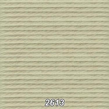 Imagem de Linha DMC Cotton Retors Mat (Fosca) 10m - 6, 2613