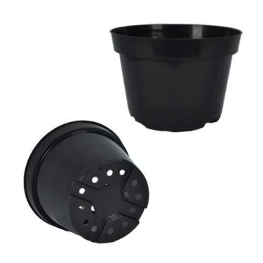 Imagem de 300 vasos pote 11 volume de 430 ml mudas  suculentas violetas - MS Pai