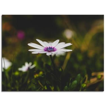 Imagem de Pôster de primavera 093 impressões em tela de jardim arte de parede de pólen para casa 1 painéis decorações não ramificadas 25,4 x 20,3 cm