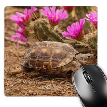 Imagem de 3drose USA, Texas Berlandiers Tartaruga e Morango Pataya Blossoms - Mouse pad