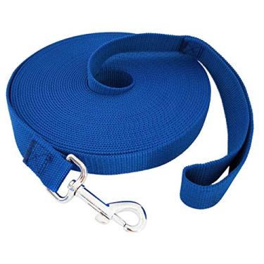 Imagem de TAIDA 20 pés 30 pés 40 pés 127 m Nylon Longo Treinamento Cachorro Coleira para Cães Pequenos Médio Grande, Longa Correia Cão/Puppy Chumbo para Obediência Treinamento de Lembrança, Acampamento ou Quintal, 1 polegada de larguraTaida 40 FOOT azul