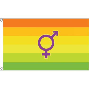 Imagem de AZ FLAG - Bandeira do Orgulho Hermafrodita - 9,5 cm x 1,5 m - Faixa Lgbt arco-íris de poliéster 100D com dois ilhós de metal - Resistente ao desbotamento - Cores vivas - 90 cm x 1,5 m - 150 x 90 cm