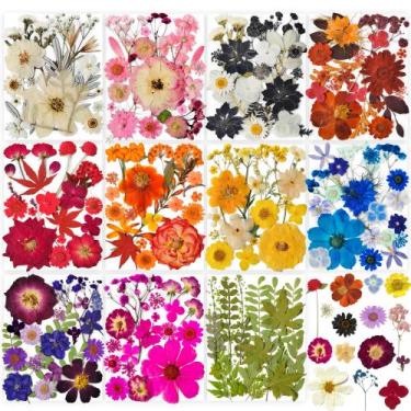 Imagem de Flores secas prensadas YouthBro 320 unidades com adesivos de borboleta