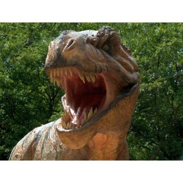 Imagem de Painel Dinossauro Banner Infantil Lona Fosca 2,6M X 1,5M(2) - Plinplin