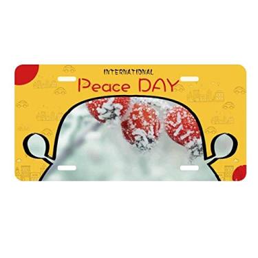 Imagem de DIYthinker First Frost Twenty Four Solar Term Placa Placa de Carro Decoração Dia da Paz