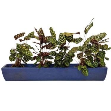 Imagem de Jardineira Viena Para Plantas 100x14cm Floreira Polietileno - Alpe & A