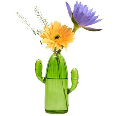 Imagem de XXXFLOWER Estação de propagação de cactos Jarras de terrário para mudas de plantas suportes de plantas de ar exclusivo vaso de flores de vidro para plantas hidropônicas para amantes de plantas