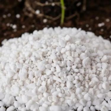 Imagem de Perlita Expandida Grow Cultivo germinação 20 litros - Gold Plant