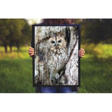 Imagem de Quadro Decorativo Coruja Natureza com Moldura E Acetato Tamanho A3 - R