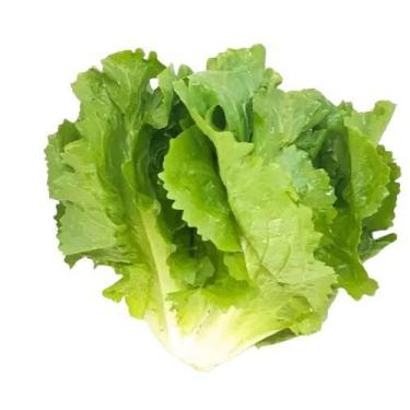 Imagem de Semente Hortaliça/Verdura/Especiaria monte seu kit personalizado - Alp