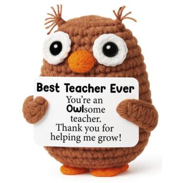 Imagem de Presente de agradecimento ao professor Crochet Owl Best Teacher Ever -