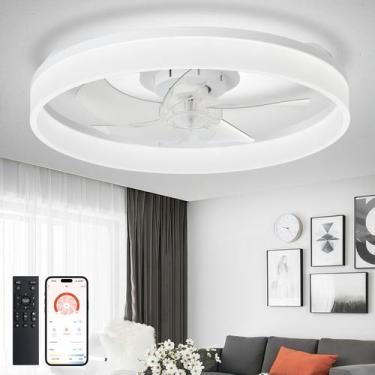 Imagem de Ventilador de teto DINGLILIGHTING 20" Flush Mount LED Dimmable