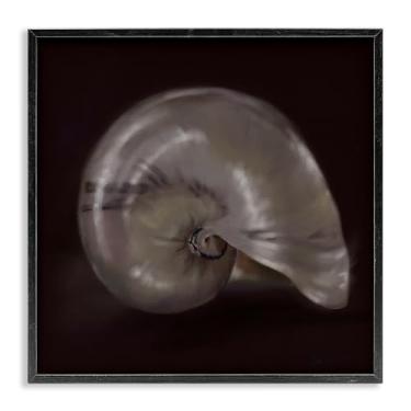 Imagem de Stupell Industries Arte giclée emoldurada Seashell Treasure of Sea White, design de Mary Sparrow, 17 x 17