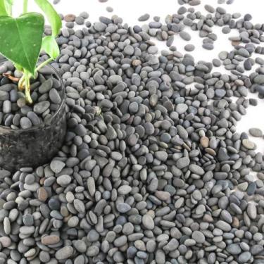 Imagem de Seixos naturais River Rocks CJGQ de 3,2 kg para plantas e decoração