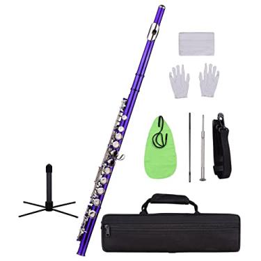 Imagem de Estojo de transporte para flauta com furo fechado flauta C 16 teclas cuproníquel banhado a níquel instrumento de sopro (cor: roxo)