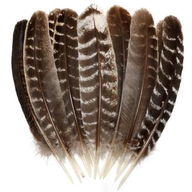 Imagem de Feathers Natural Wild Turkey Wing 20-25 cm (20 unidades) para artesana