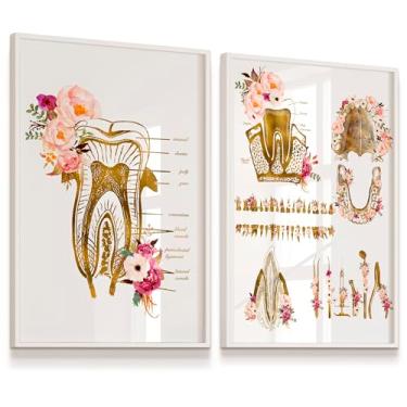 Imagem de Kit 2 Quadros Decorativos Dentista Anatomia Dente 33x43cm Laminado Moldura Branca Art Parede