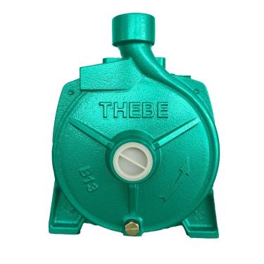 Imagem de Bomba Solar B-13 950w Thebe Ip44 114v