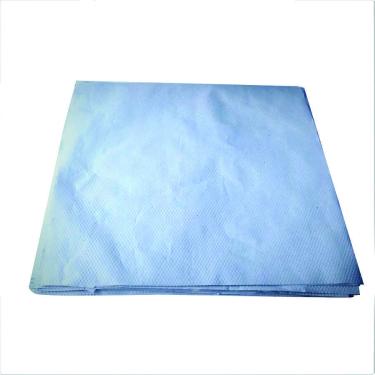 Imagem de Papel Jornal Pet Limpo Absorvente 60X60Cm 100 Unidades