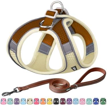 Imagem de AIITLE Conjunto de coleira e coleira para cães Easy Walk – Pet Supply Sem puxar, arnês ajustável para animais de estimação com colete acolchoado para o verão, não engasga, fácil de colocar para cães