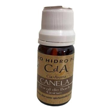 Imagem de Óleo Hidrossolúvel Para Umidificadores 10Ml-Escolha O Aroma