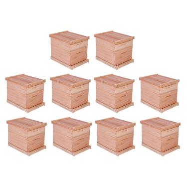 Imagem de Caixa De Abelha Padrão Langstroth Eucalipto 10 Unidades