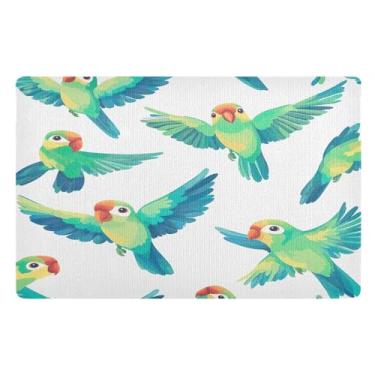 Imagem de STAYTOP Tapete de porta de papagaio verde fofo para entrada externa 81 x 50 cm, tapete de boas-vindas externo/interno, tapetes de banho fofos, capacho frontal antiderrapante para entrada, pátio, áreas