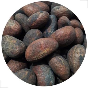 Imagem de Kit 30un Semente Orobo Africano Ritual Candomblé - Rei Dos Orixás