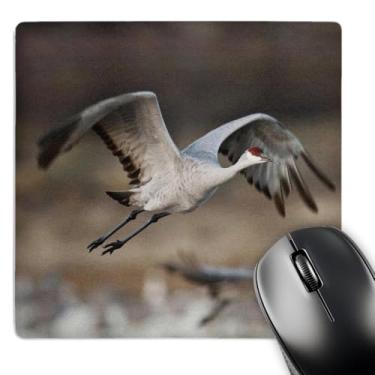 Imagem de 3dRose Mouse pad de 20 x 20 x 0,63 cm, Sandhill Crane Bird Takes Flight por Larry Ditto (mp_145237_1)