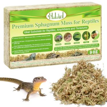 Imagem de Halatool Musgo esfagno natural de 255 g para répteis premium musgo de terrário ideal para tartarugas caixas, caranguejos eremitas, leopardo, lagartixa, cobras e hamsters