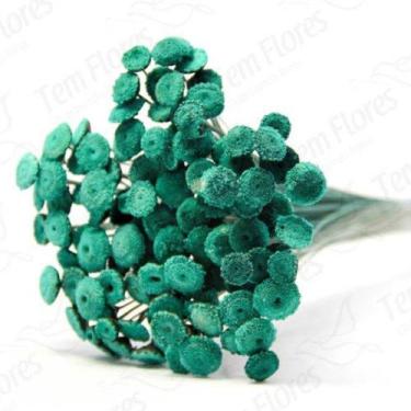 Imagem de 200 Botão Desidratado Sempre Viva Flores Secas - Pense Flores, Verde