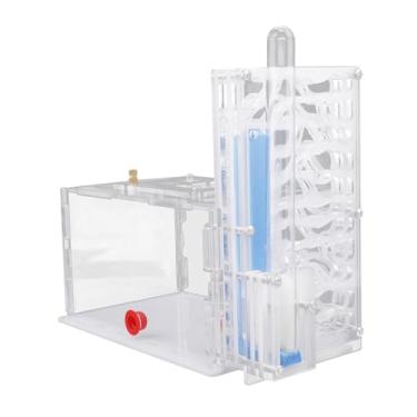 Imagem de Ｂｅｓｇａ de formigas com cesto de ração, caixa de criação de formigas para o dia crianças, amantes de casa, quarto, Branco